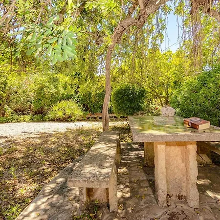 Puig Petit Villa Pollença